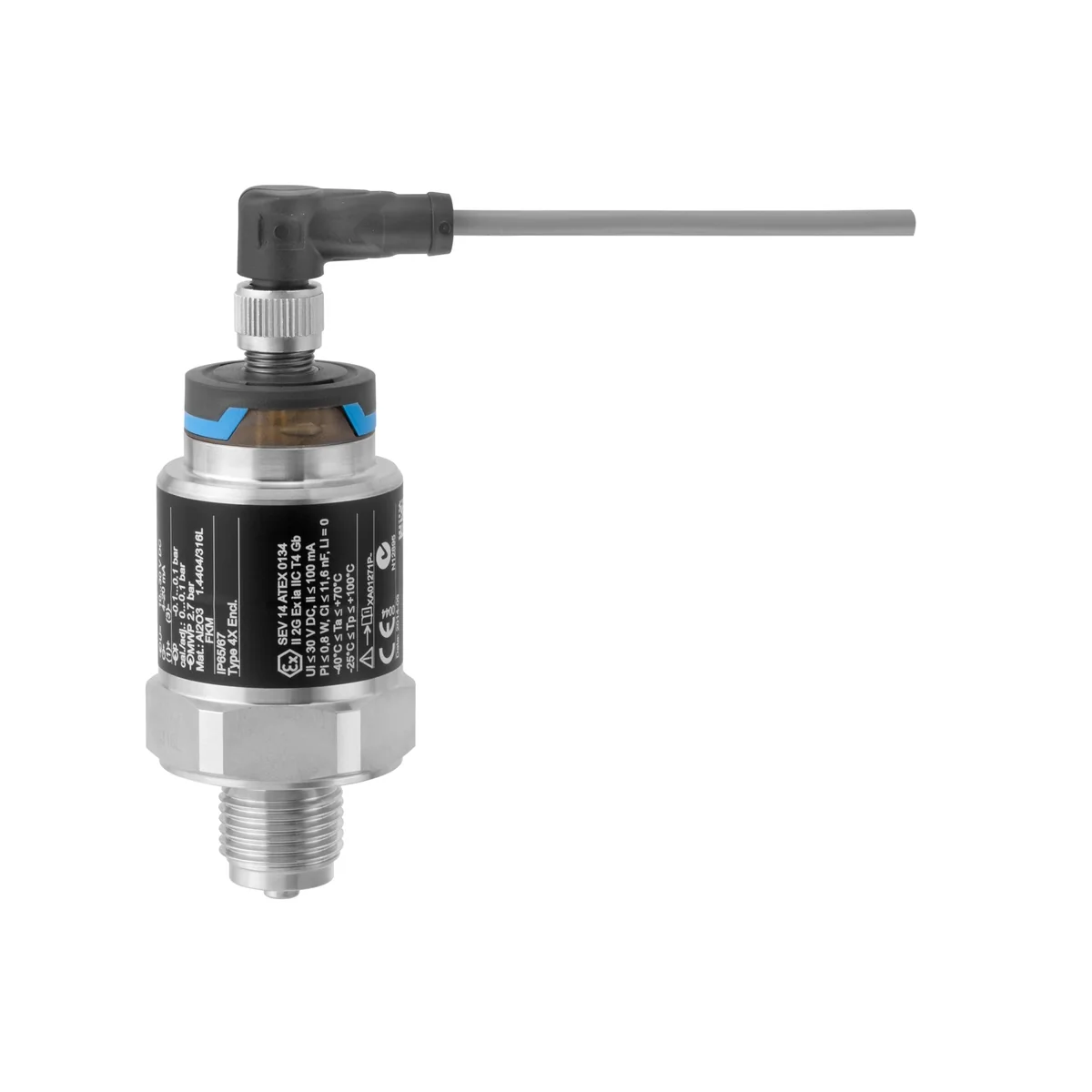Endress+Hauser PMC21